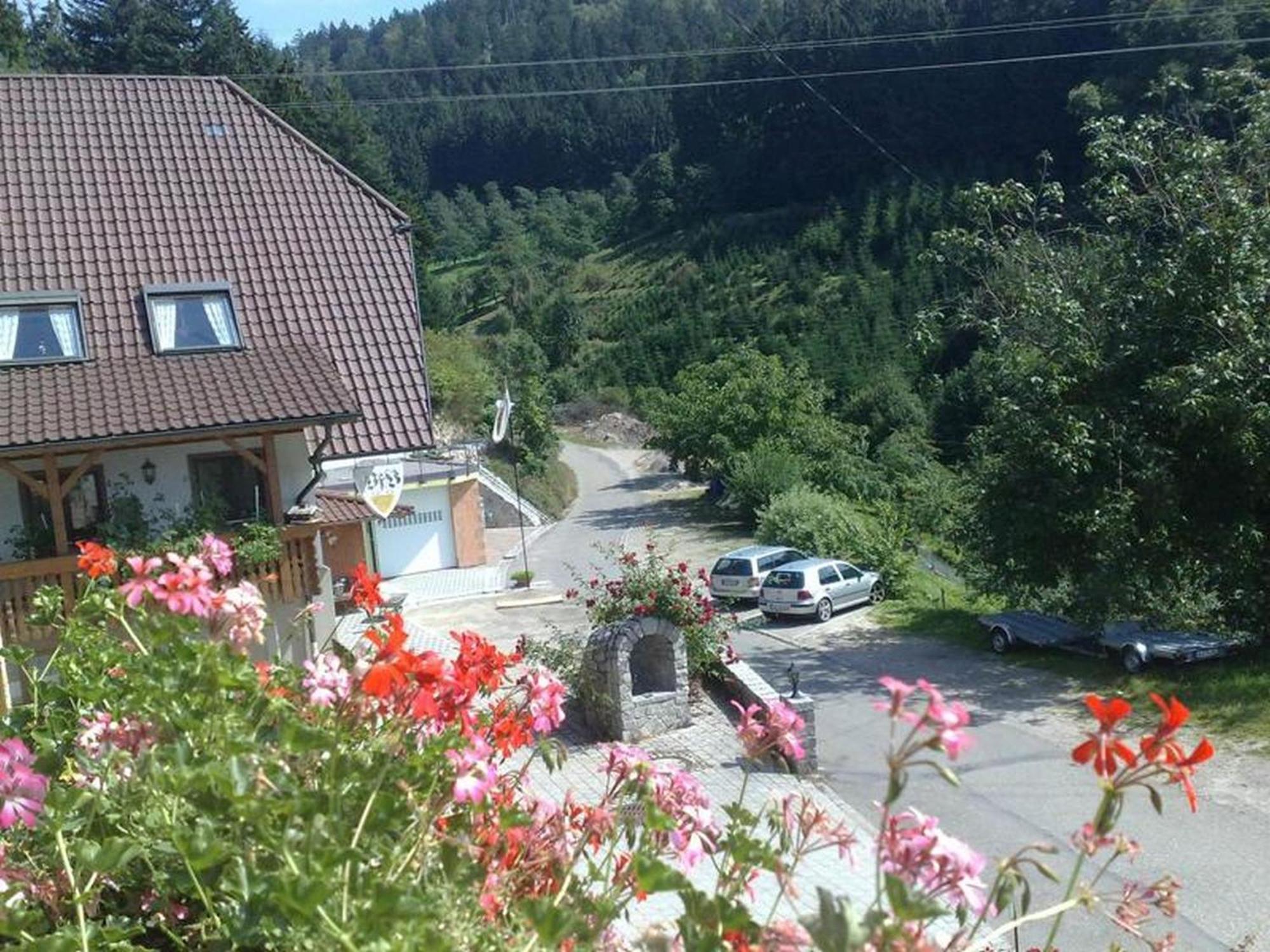 Ferienwohnung Schneckenhus Lautenbach Exteriér fotografie