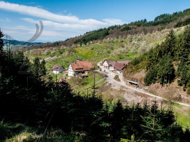 Ferienwohnung Schneckenhus Lautenbach Exteriér fotografie
