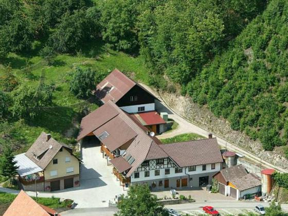 Ferienwohnung Schneckenhus Lautenbach Exteriér fotografie