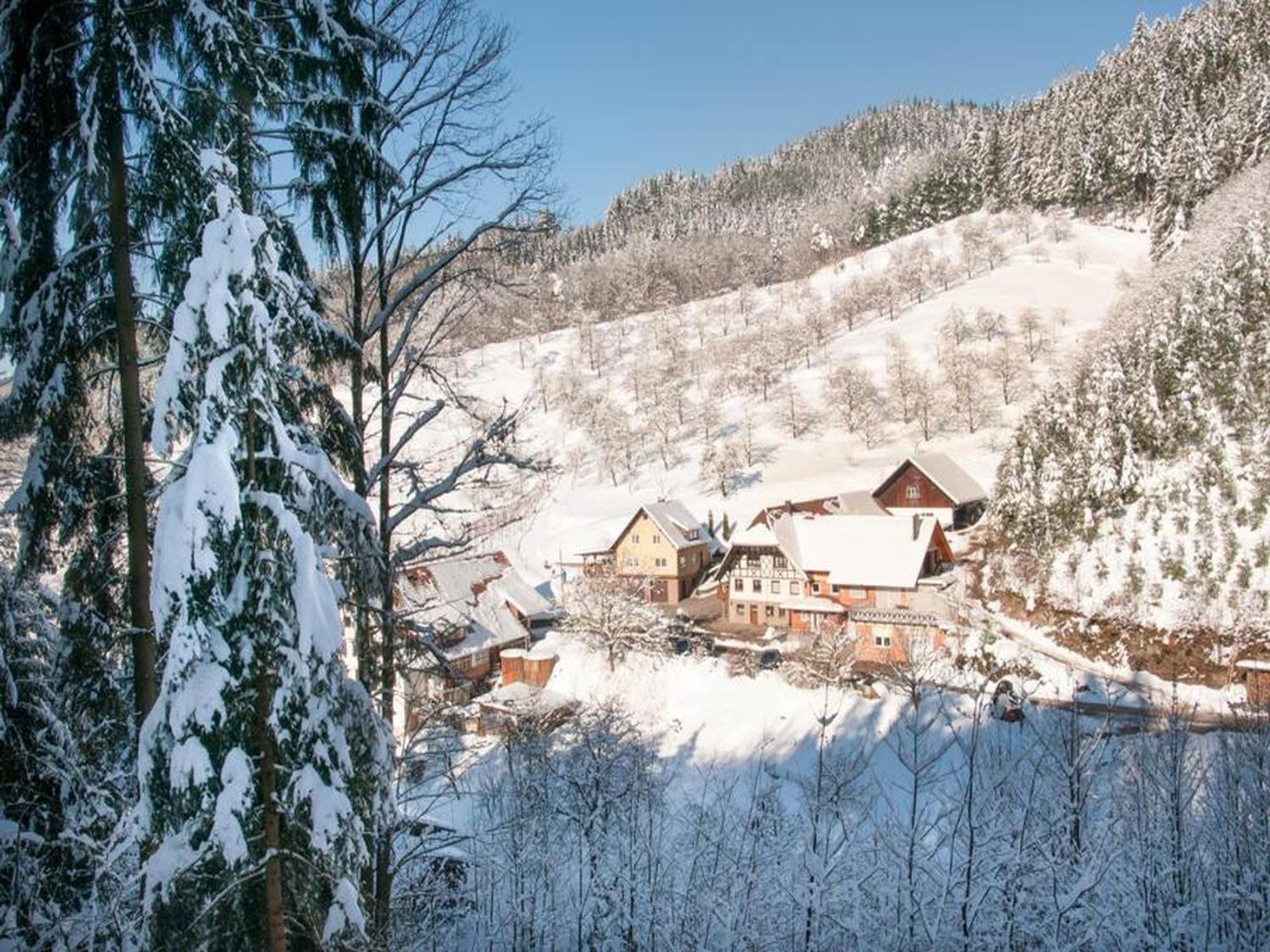 Ferienwohnung Schneckenhus Lautenbach Exteriér fotografie