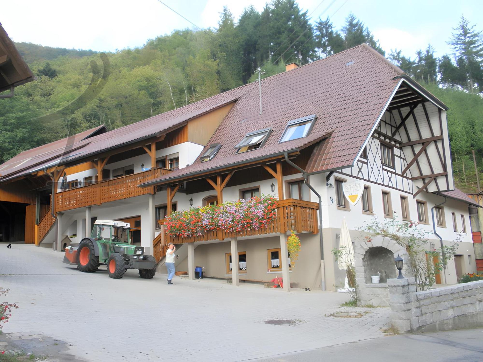 Ferienwohnung Schneckenhus Lautenbach Exteriér fotografie